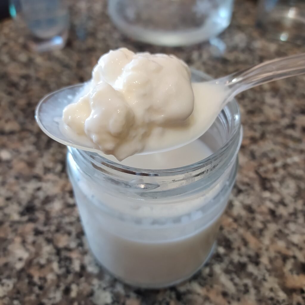 Kefir: Una Scoperta Millenaria Di Gusto E Salute. Scopri I 7 Benefici Fondamentali